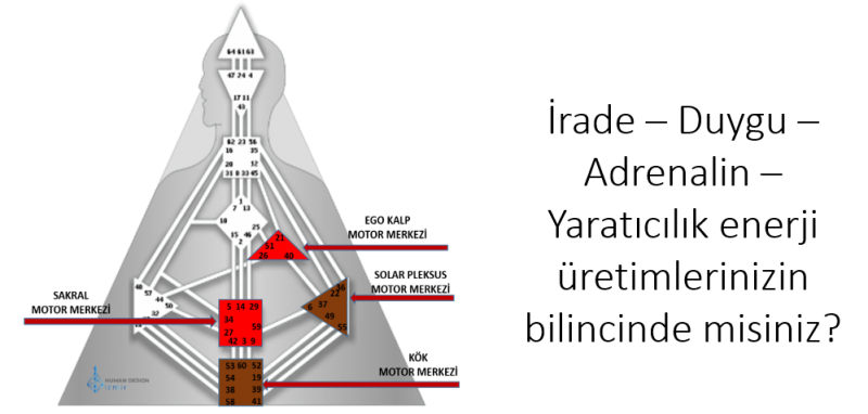 Motor Merkezleri